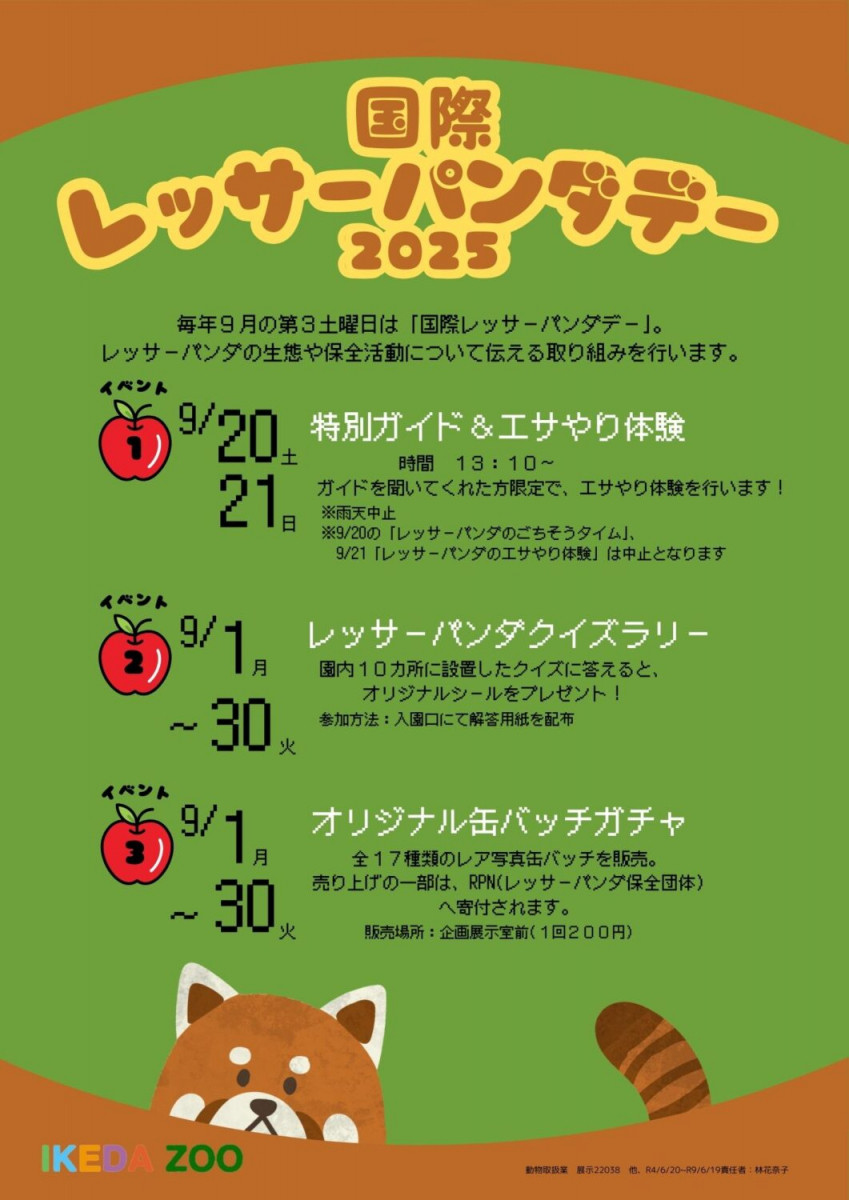 チラシ