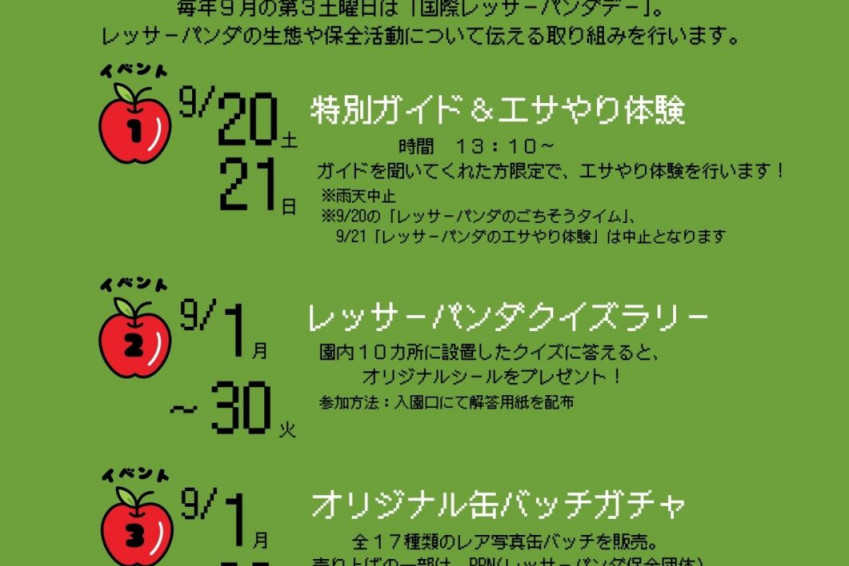 池田動物園　「国際レッサーパンダデー2025」