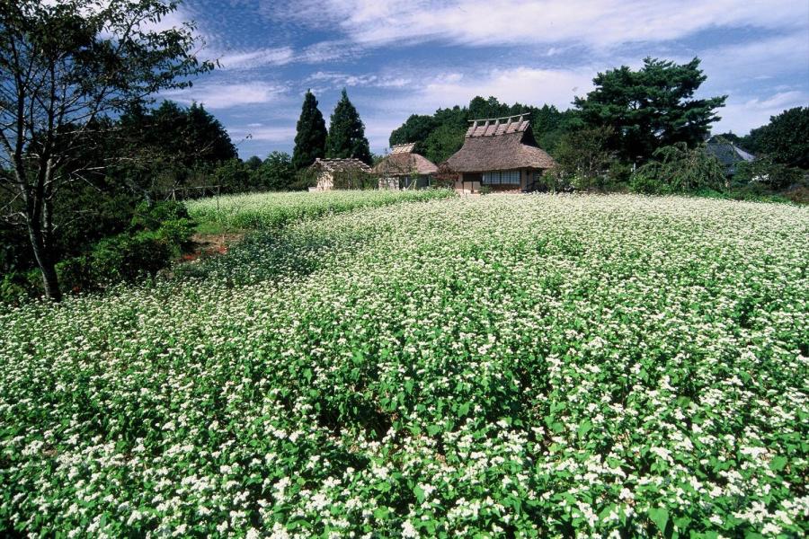 普門寺