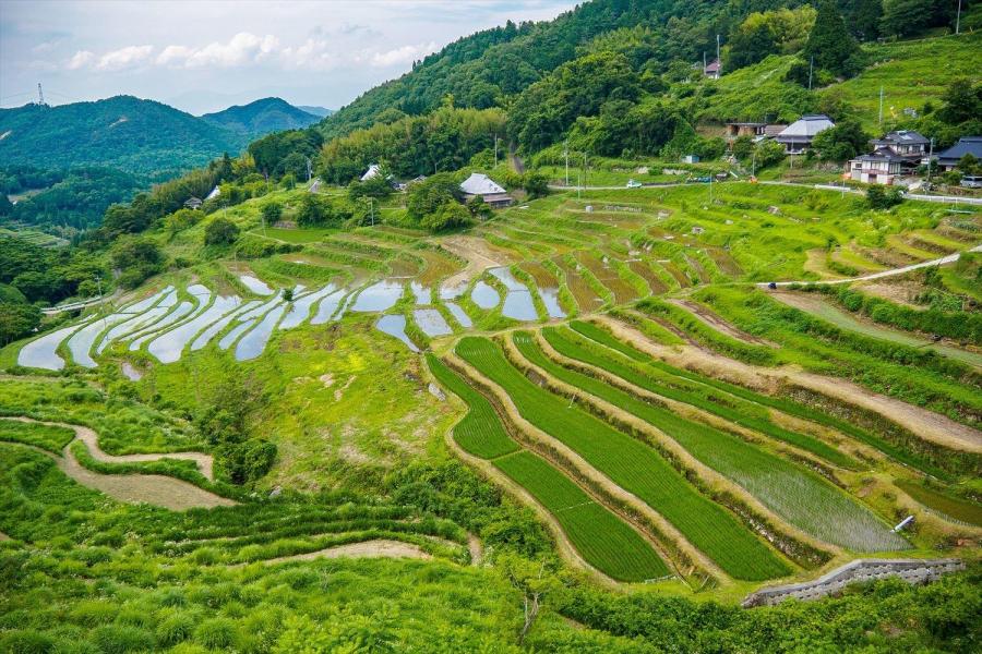 上山地区