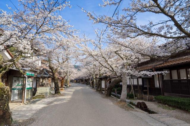 新庄地区