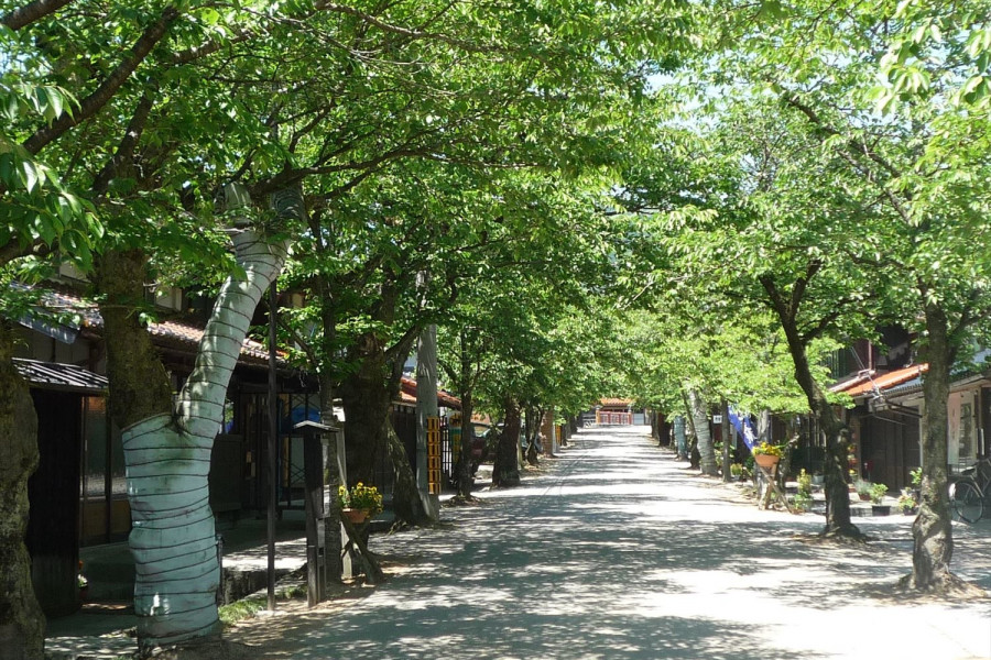 新庄地区