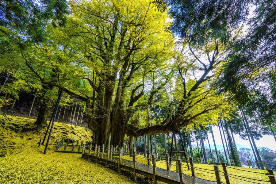 菩提寺