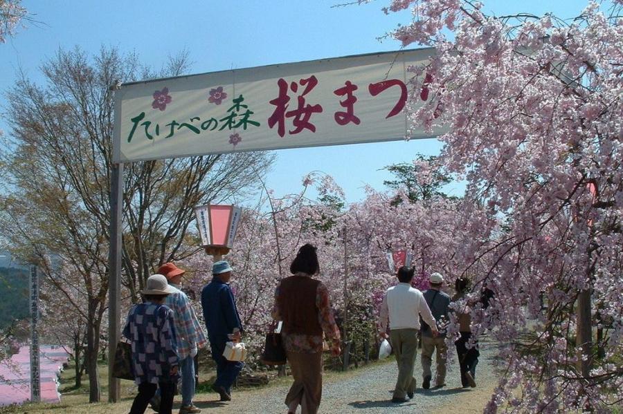 たけべの森公園