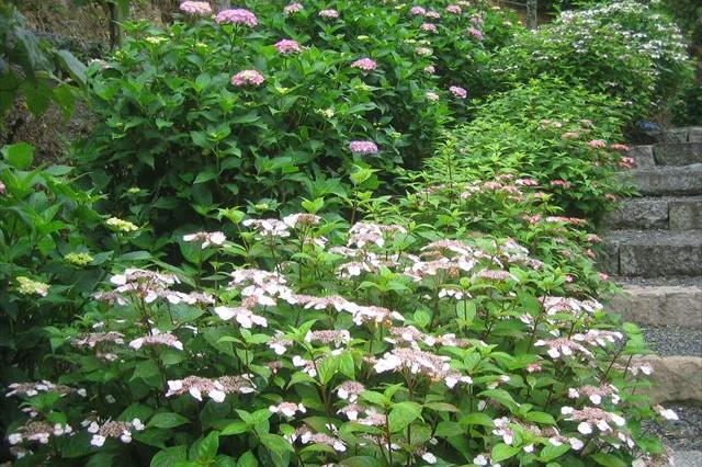 美咲花山園