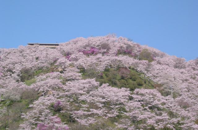 三休公園 観光スポット 岡山観光web 公式 岡山県の観光 旅行情報ならココ