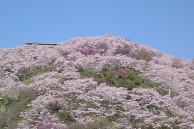 三休公園