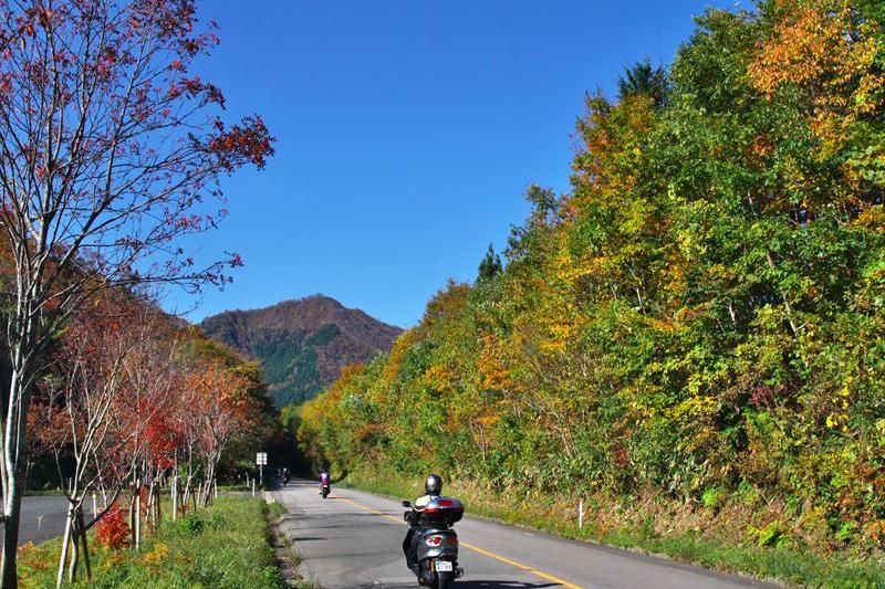 蒜山大山スカイライン 