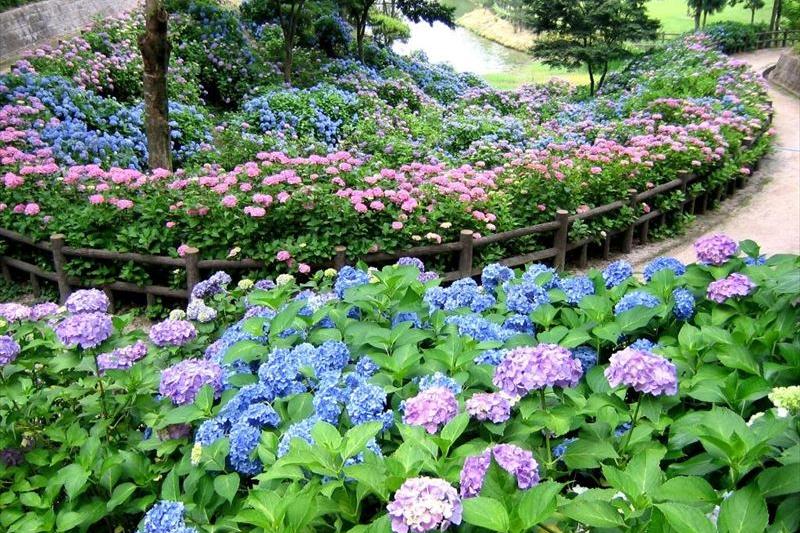 落合総合公園