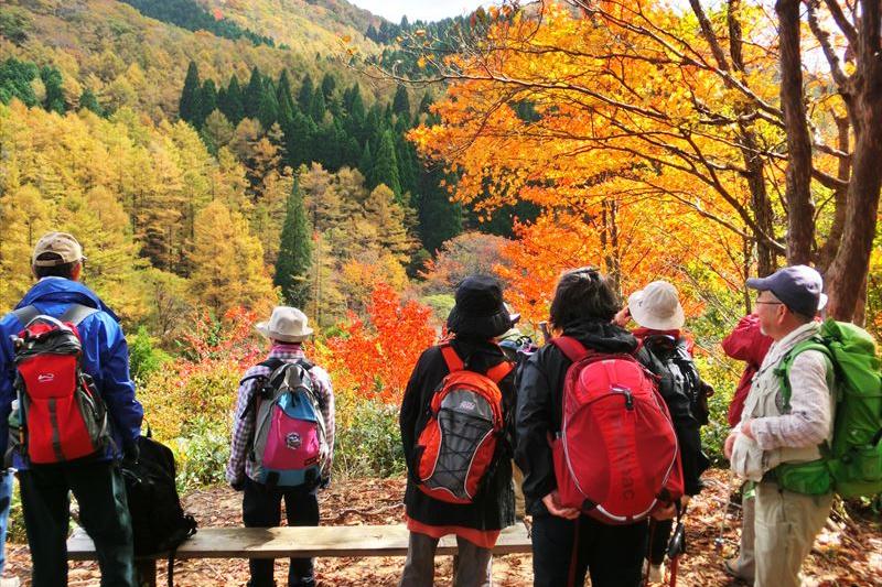 岡山県立森林公園