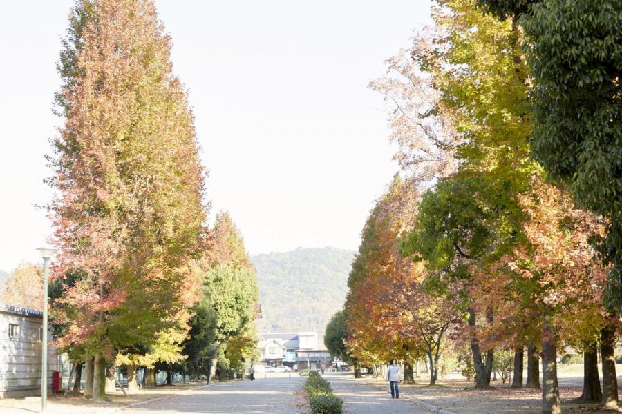 岡山県総合グラウンド
