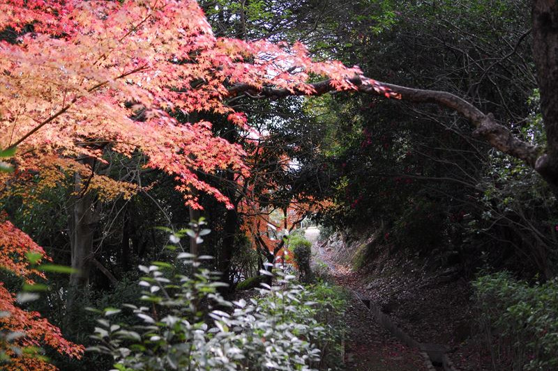 早島公園