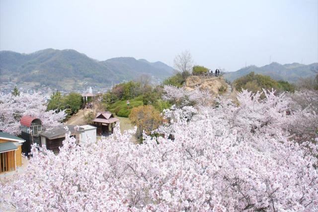 古城山公園