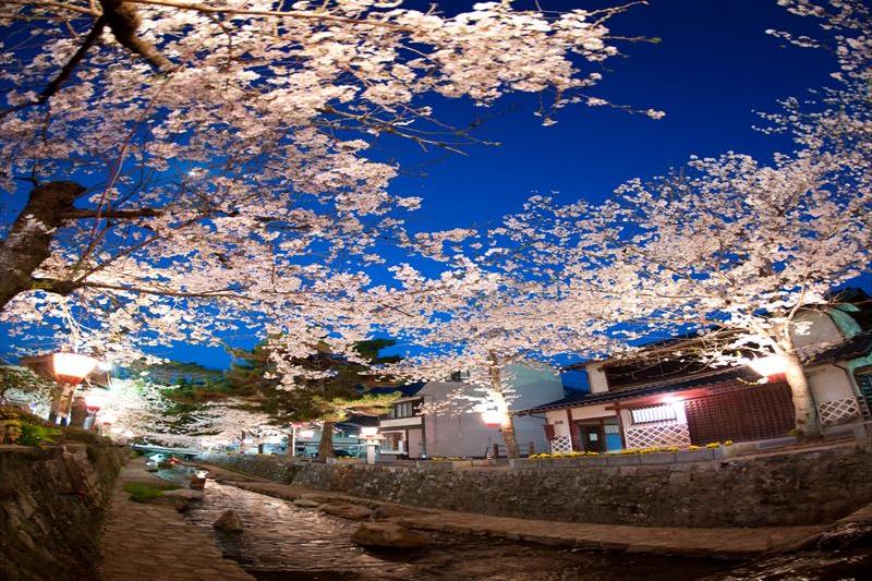 紺屋川美観地区