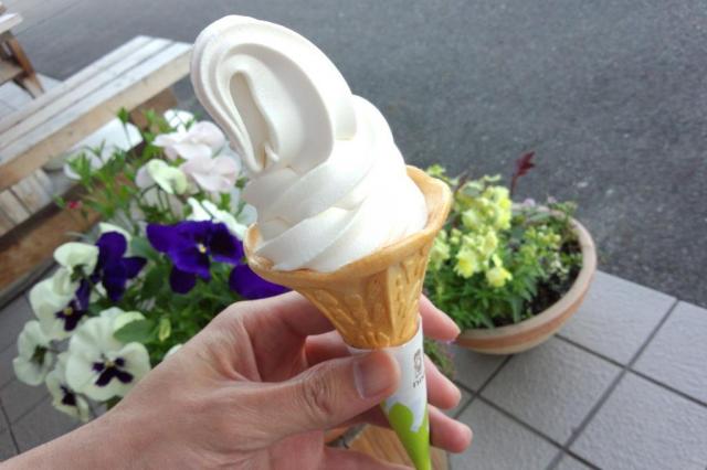 はちみつソフトクリーム