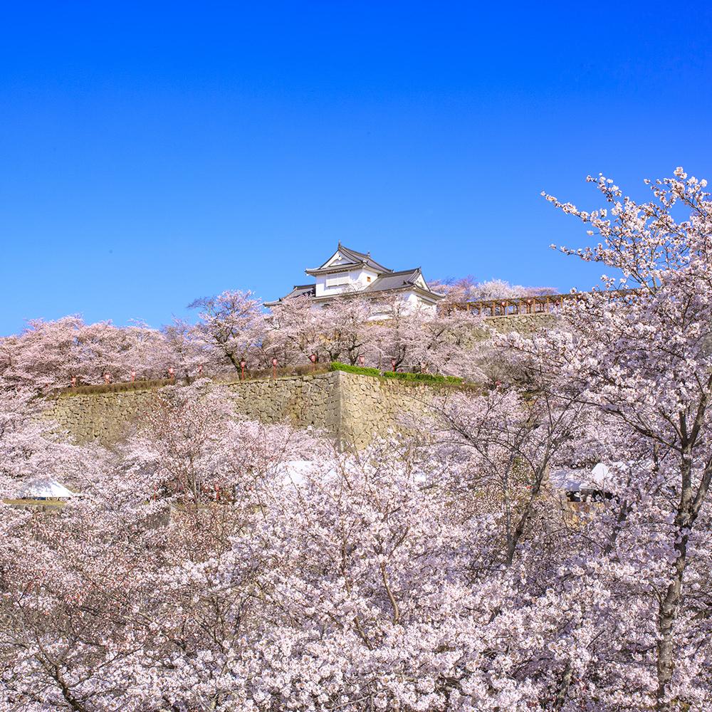 津山城（鶴山公園）