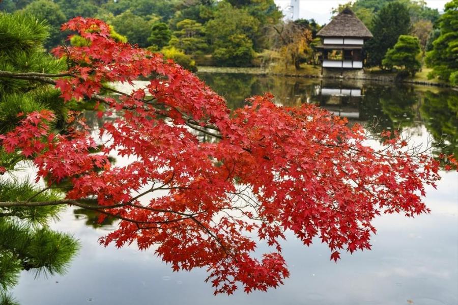 衆楽園（旧津山藩別邸庭園）