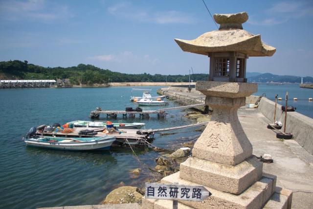 大多府島