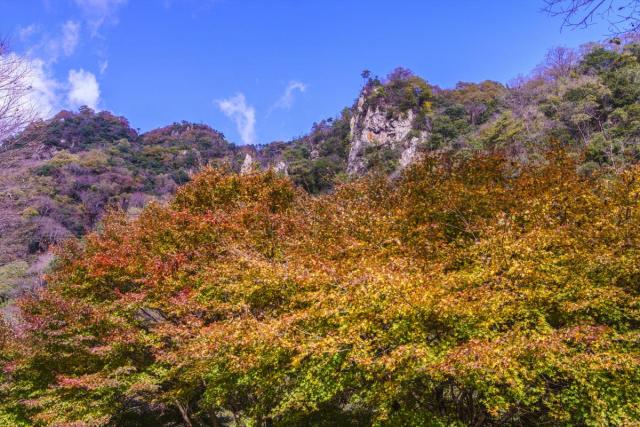 宇甘渓自然公園