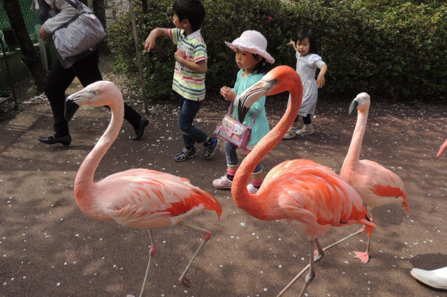 池田動物園