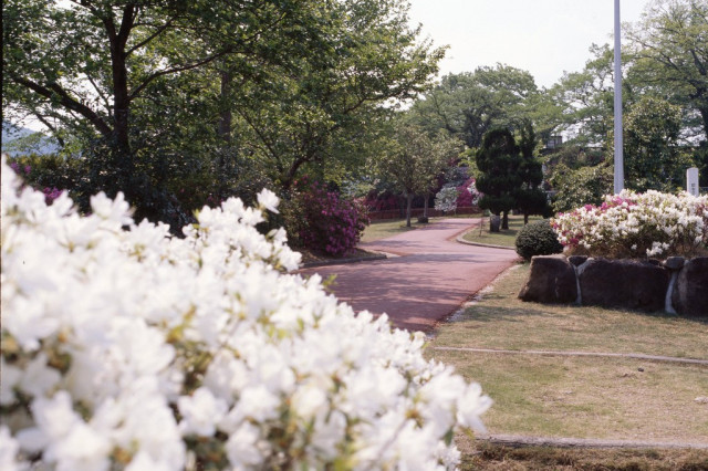 城山公園