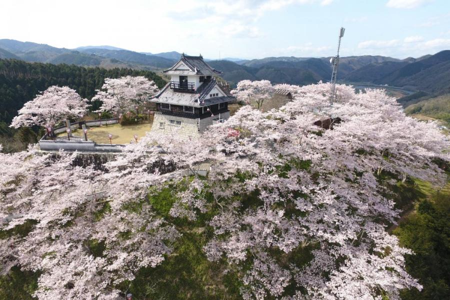 吉井城山公園