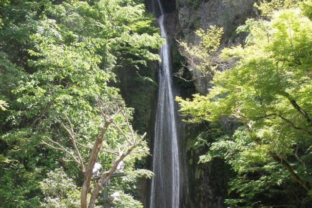 絹掛の滝