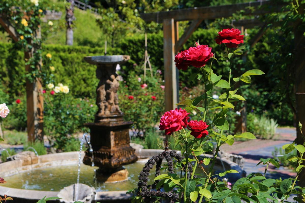深山イギリス庭園 観光スポット 岡山観光web 公式 岡山県の観光 旅行情報ならココ