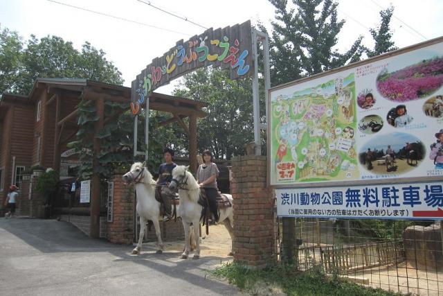 渋川動物公園