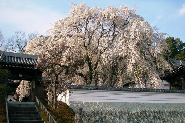 千光寺