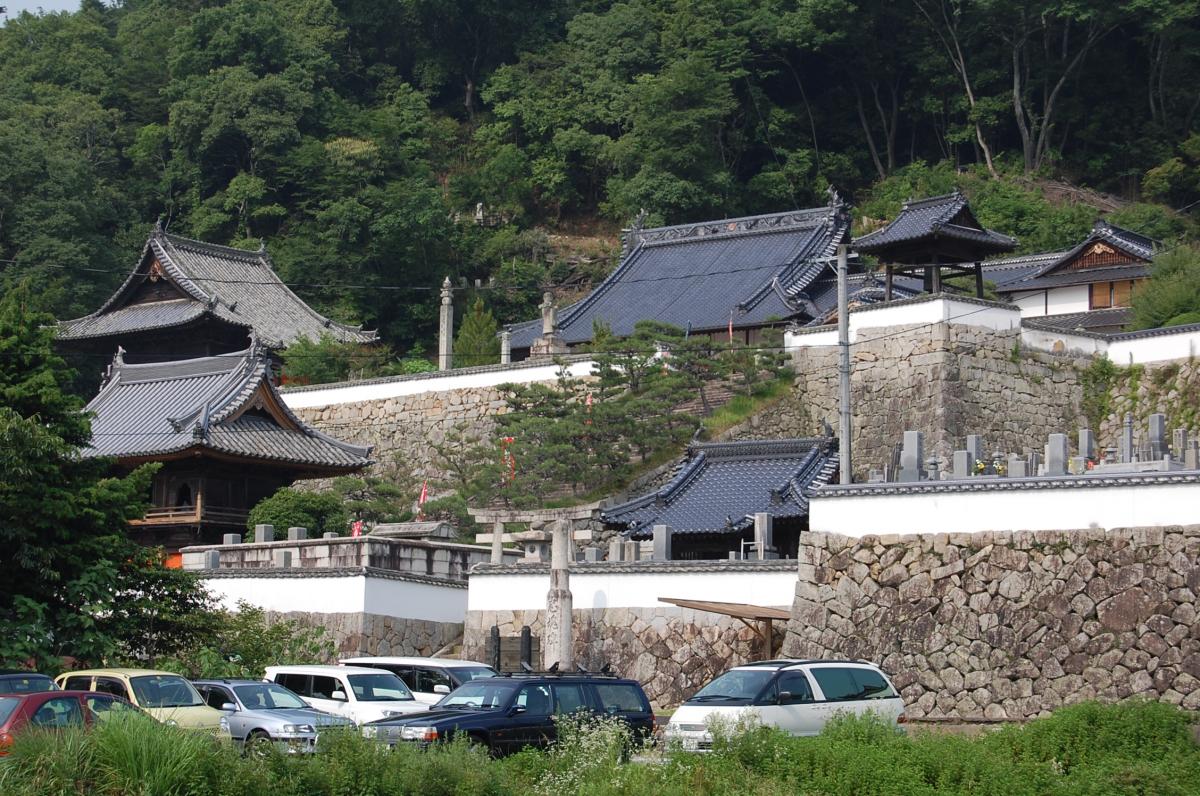全景