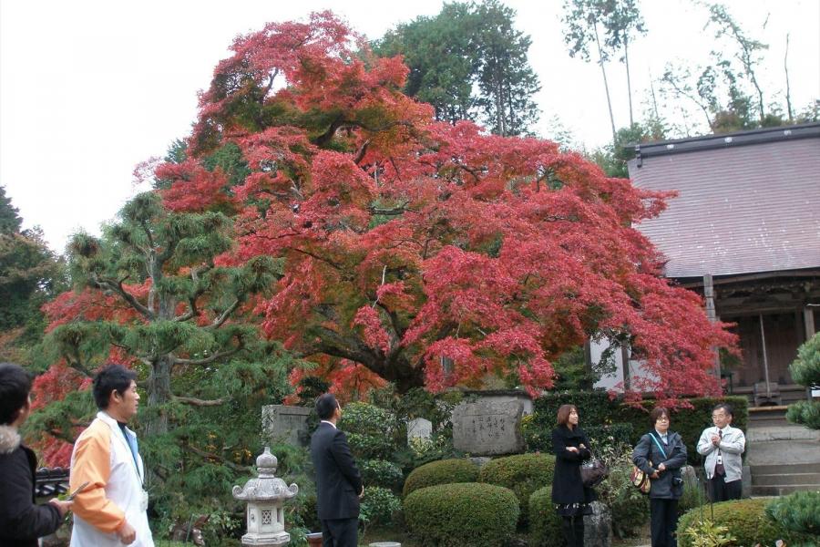 善應寺