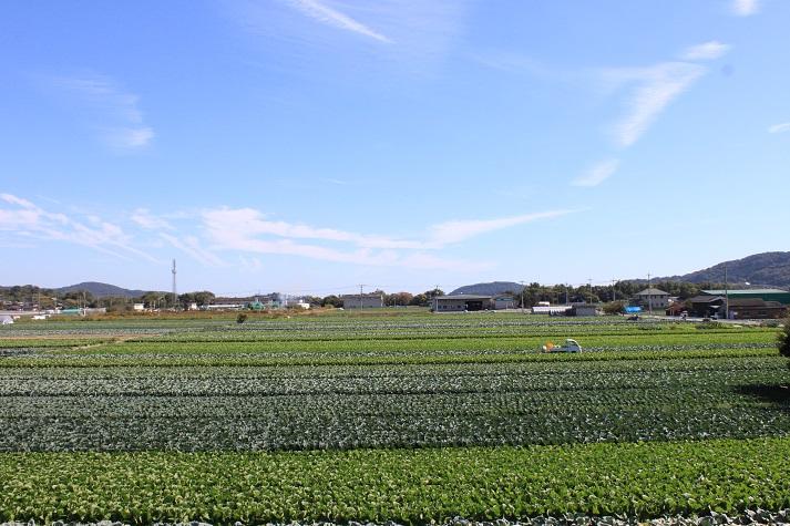 瀬戸内市の農家・畑