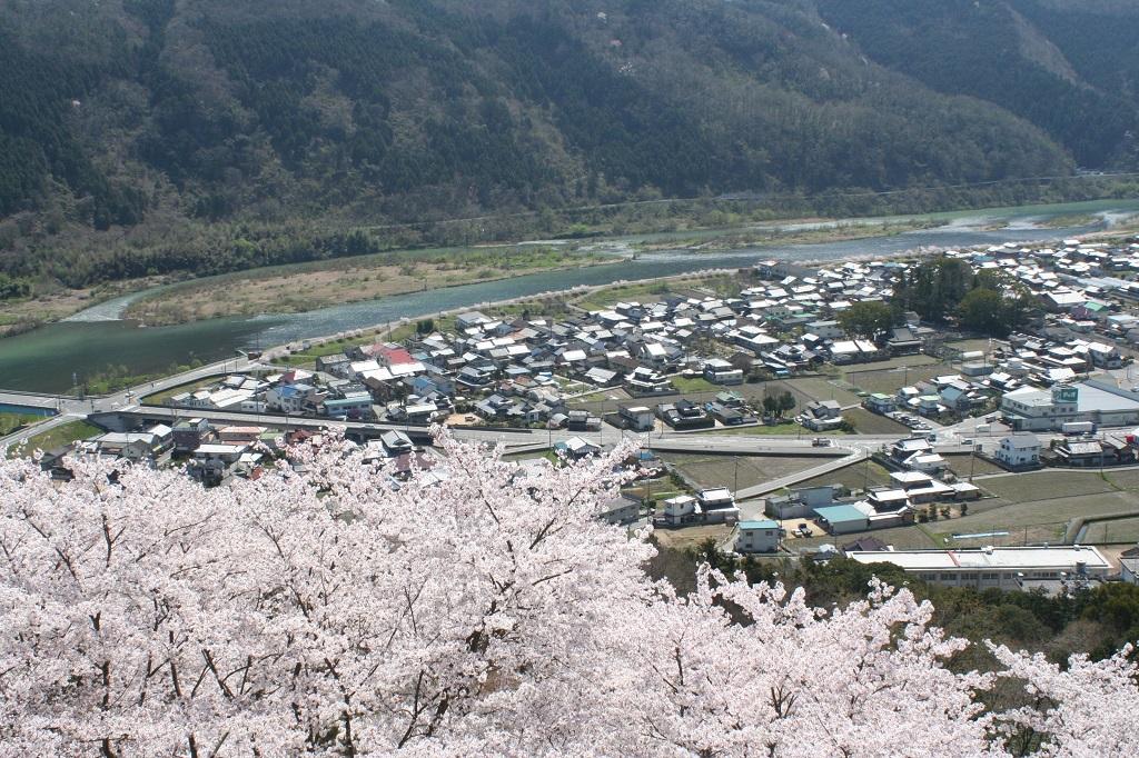 城山公園からの吉井川と周匝平野