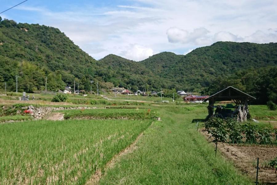 羽無地区