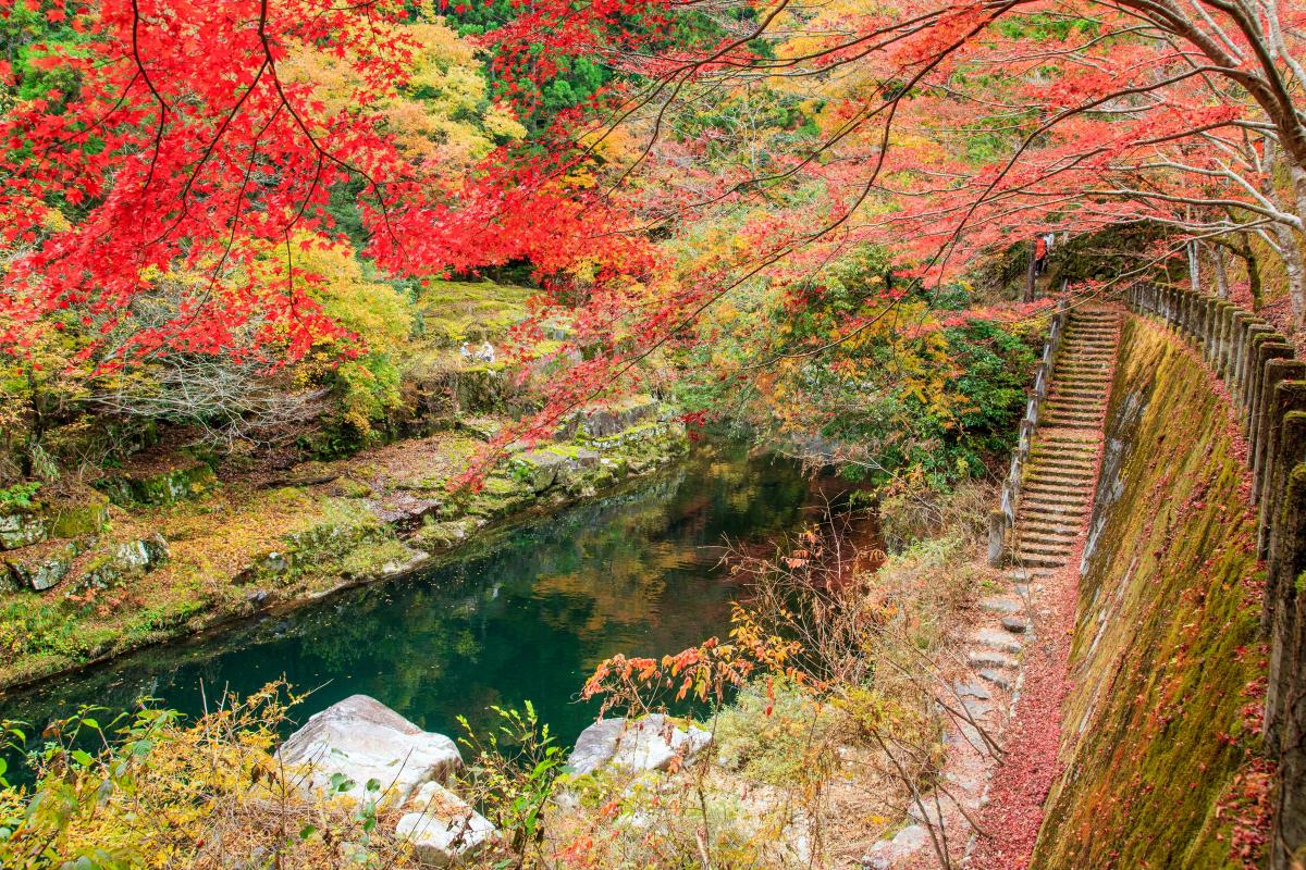 奥津川