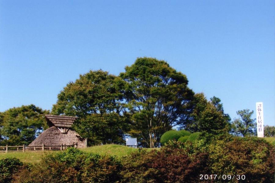 弥生住居跡
