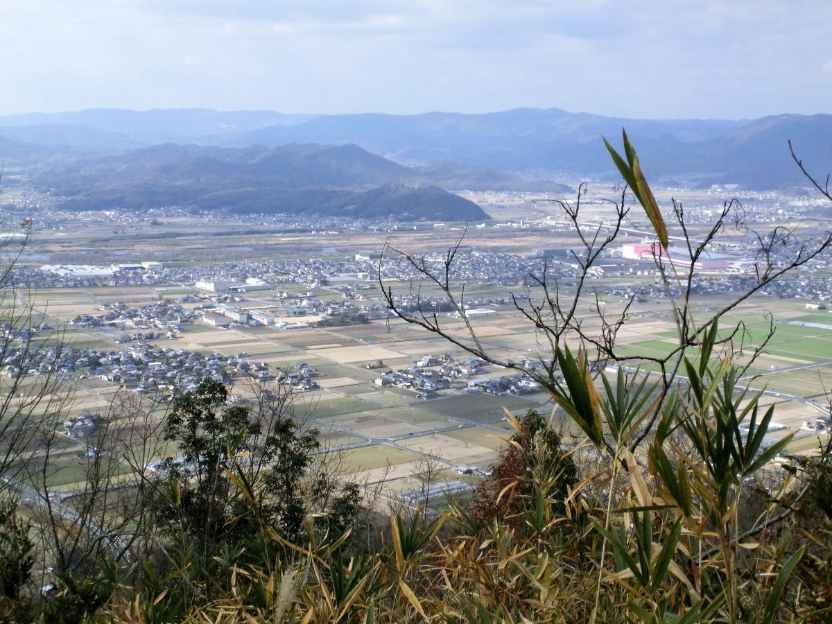 山頂からの景色