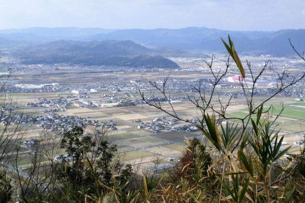 山頂からの景色