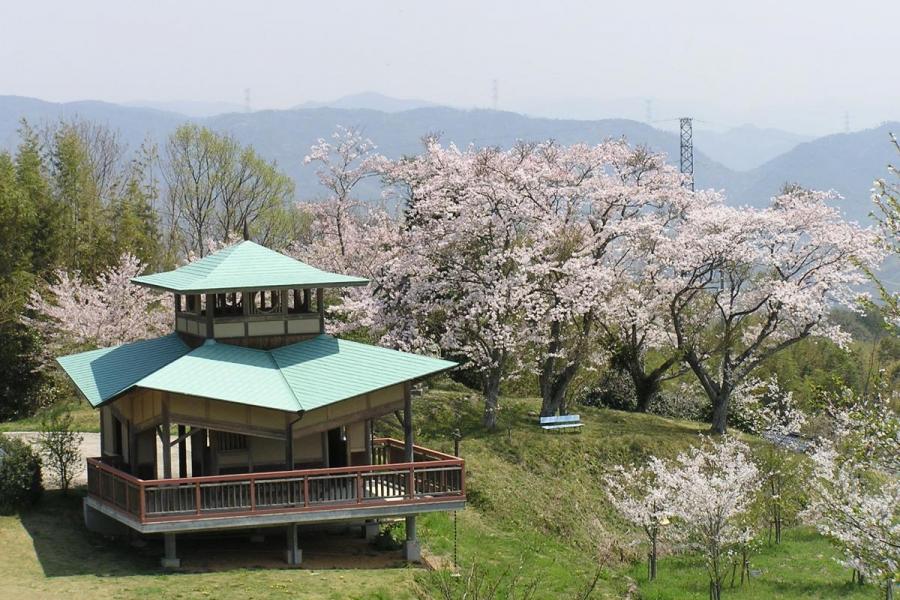 石蓮寺みんなの森