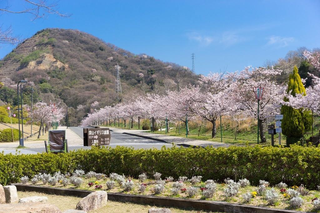 みやま公園（春）