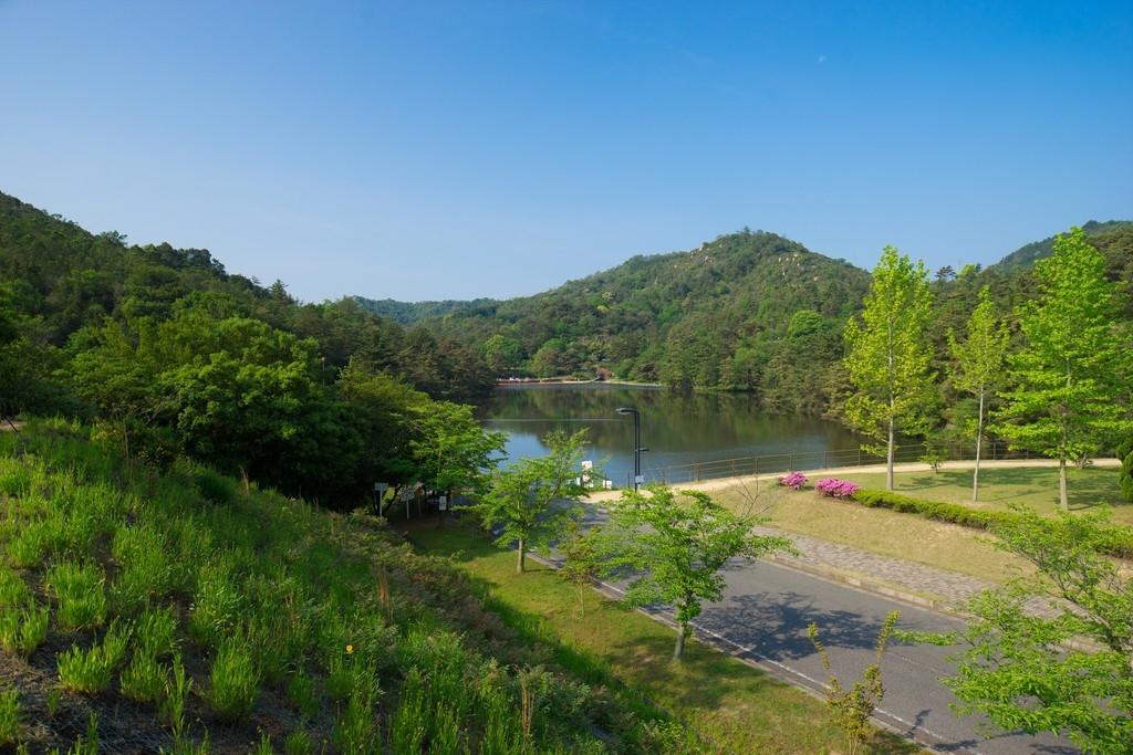 みやま公園（夏）