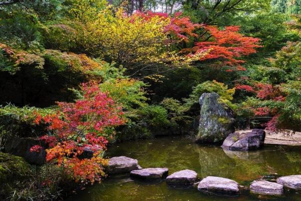 みやま公園（秋）