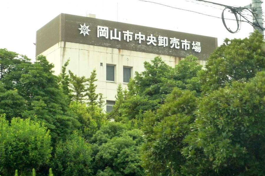 岡山市中央卸売市場・岡山市花き地方卸売市場