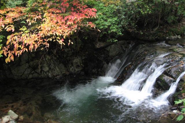 【中止】白賀渓流紅葉まつり
