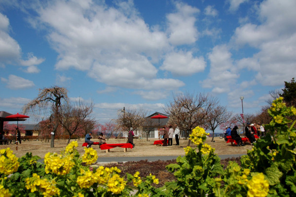 神崎梅園