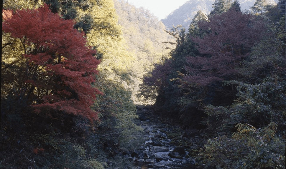 羽山渓（高梁市）