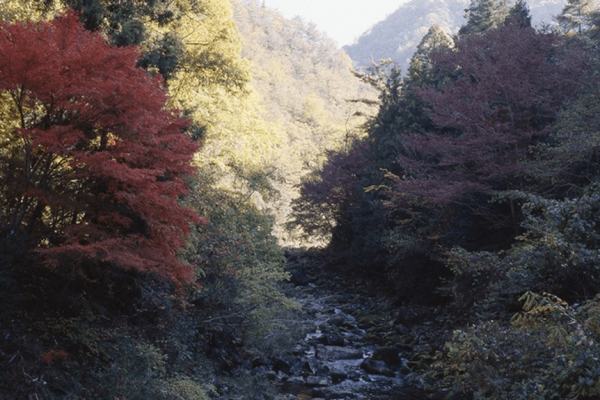 羽山渓（高梁市）