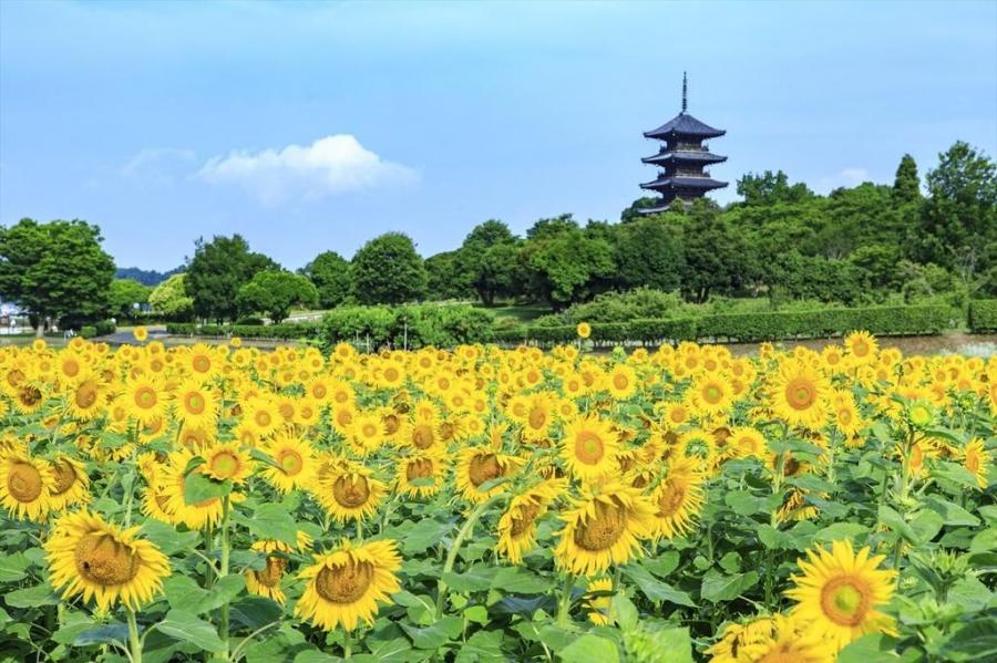 備中国分寺