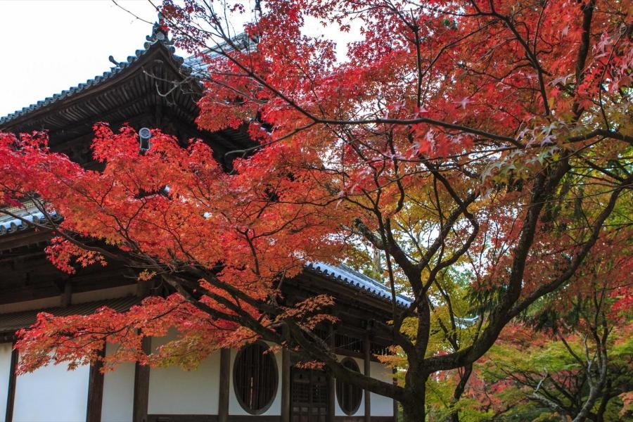 宝福寺